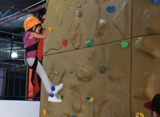 Pequenos escaladores